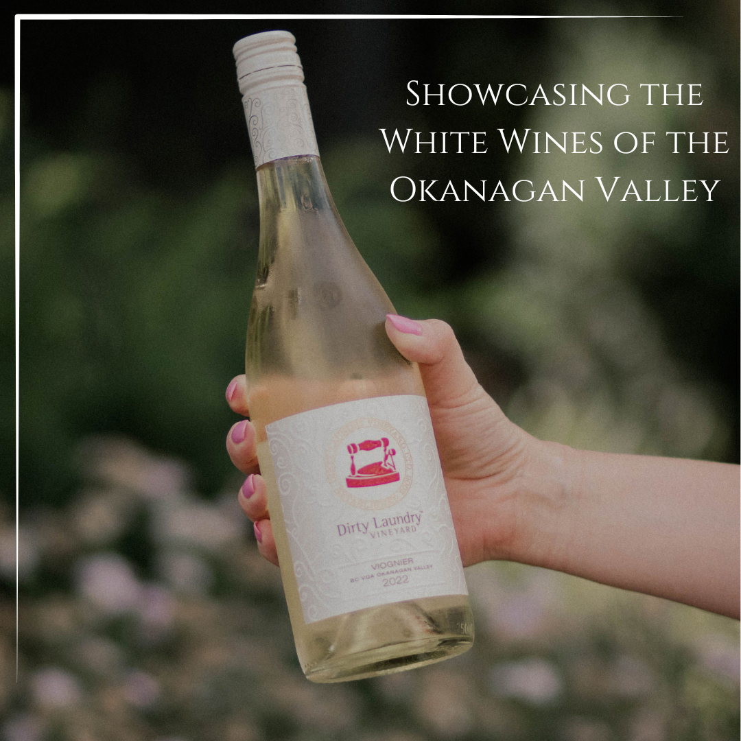 A person is showcasing the white wines of the okanagan valley