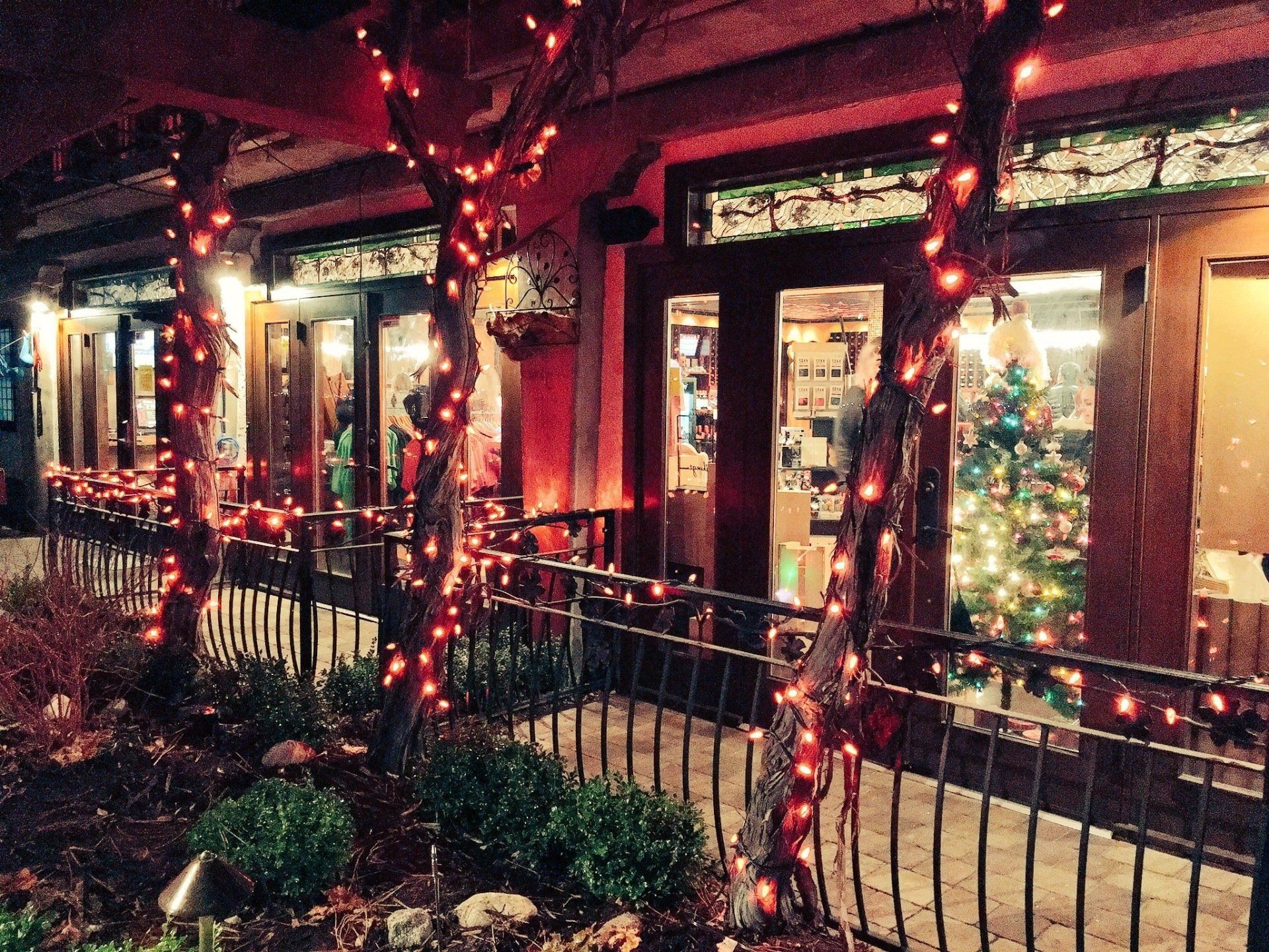 A store front decorated with christmas lights and a christmas tree