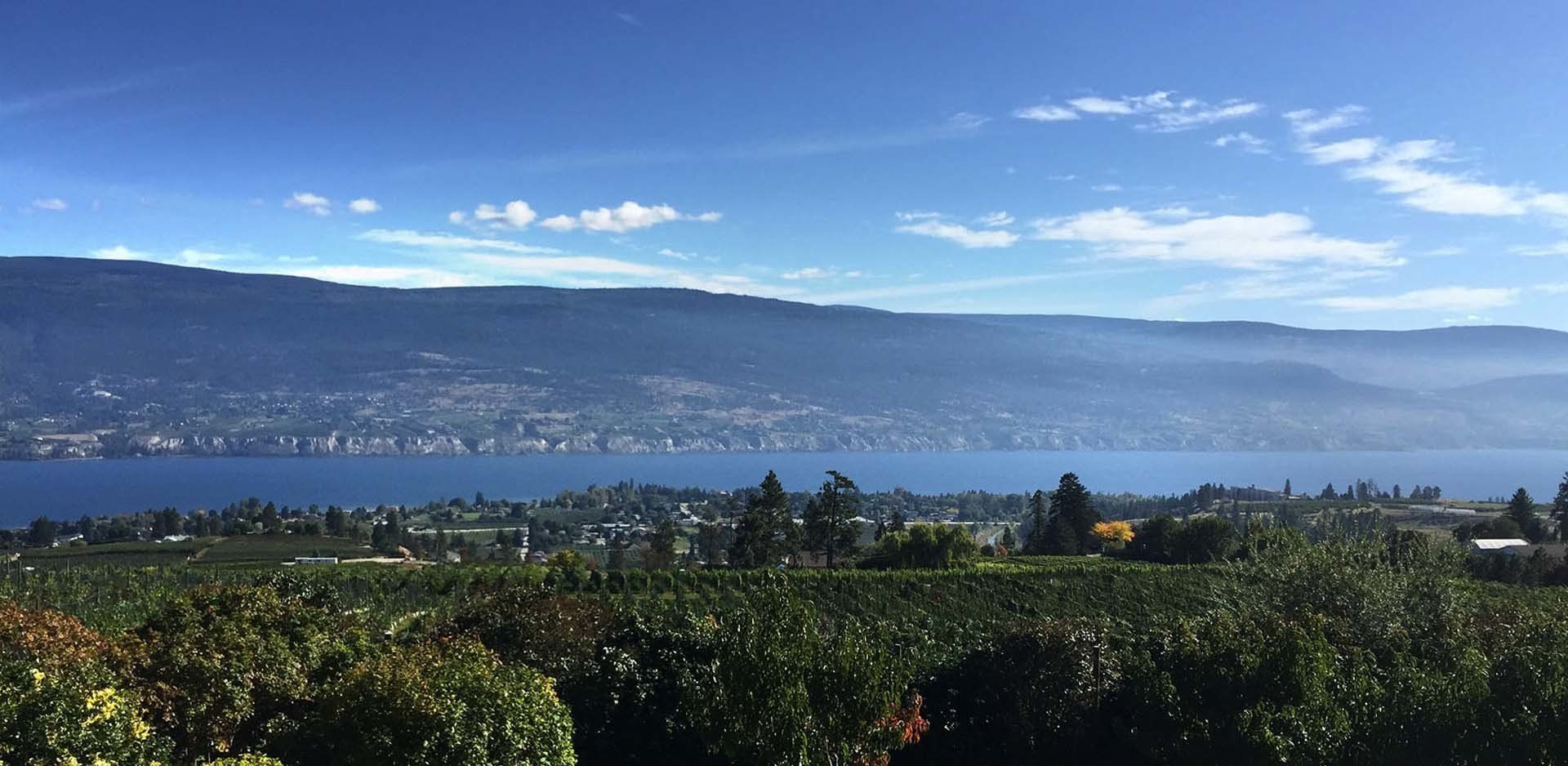A view of a lake from a hill with trees in the foreground and mountains in the background.
