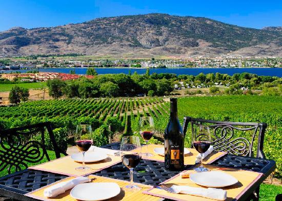 A table with plates , glasses , a bottle of wine and a view of a vineyard.