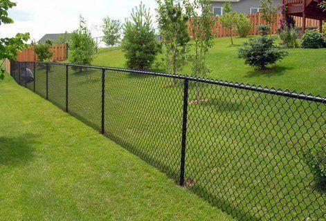 Chain Link Fence
