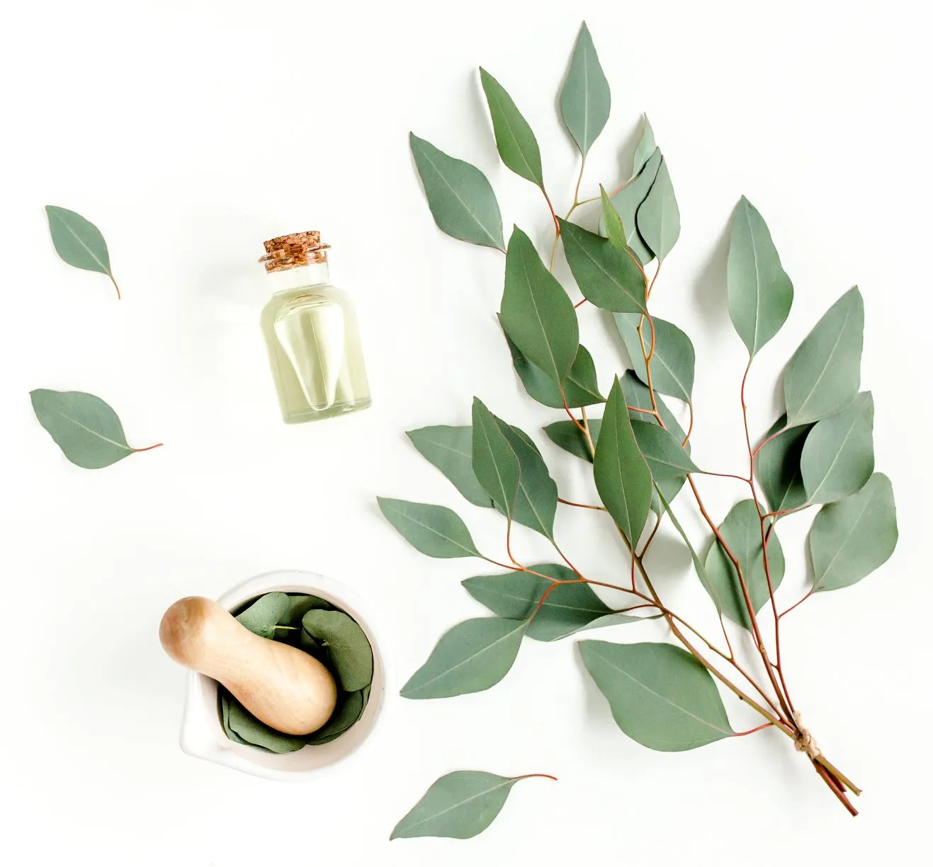 Eucalyptus Oil 80%