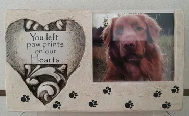 A picture of a dog in a heart shaped frame with the words `` you left paw prints on our hearts ''.