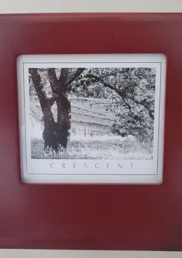 A framed picture of a tree with the word crescent on it