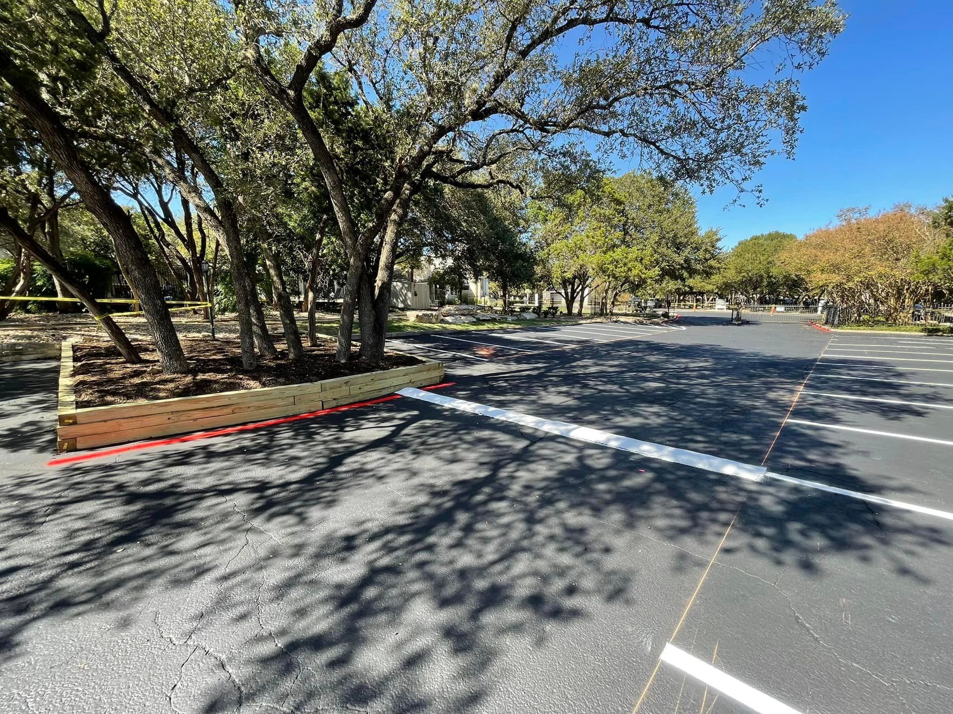 Empty asphalt parking lot with a tree and shadow. White parking lines, red and brown borders near trees.