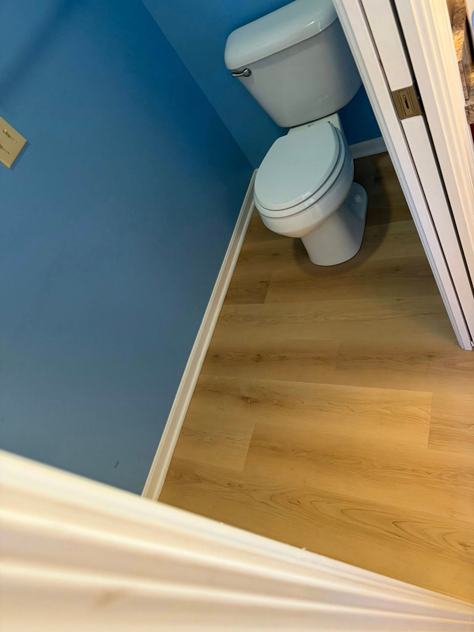 Small bathroom with blue walls, wood floor, and a toilet beside a partially open door.