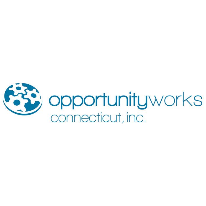 Logo for Opportunity Works Connecticut: Blue globe icon next to text