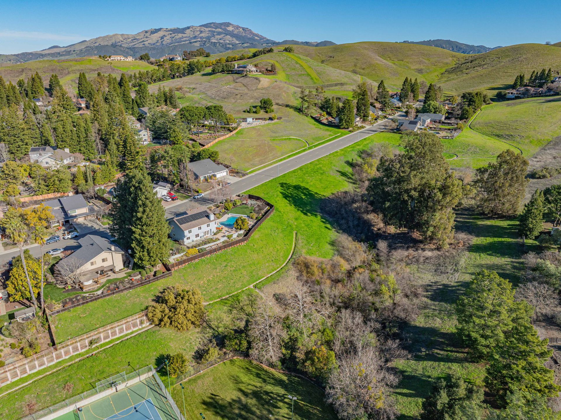 Danville Crest neighborhood homes in the Greenbrook hills with valley views near Osage Park.