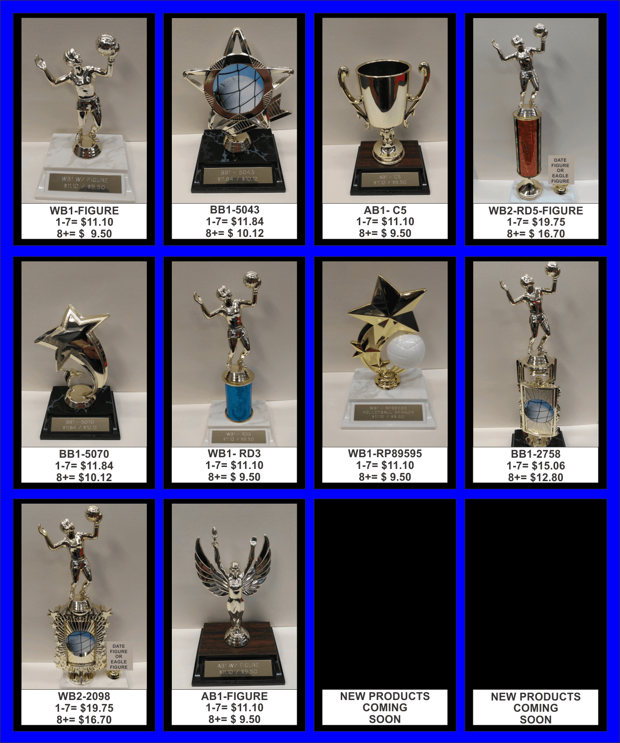 Volleyball trophies — Easley, SC — TU Engraving & Awards