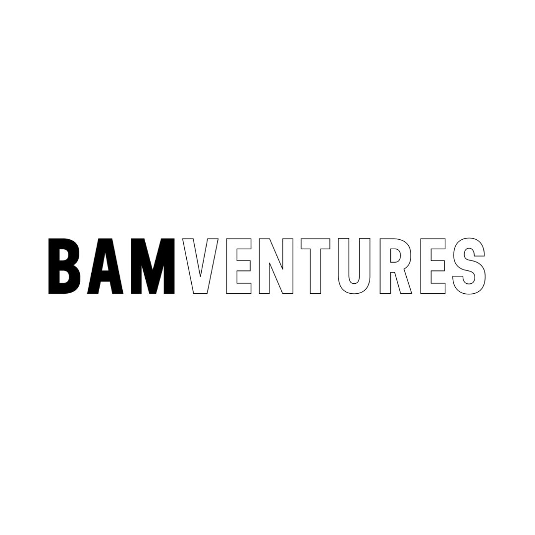 a black and white logo for bamventures on a white background .