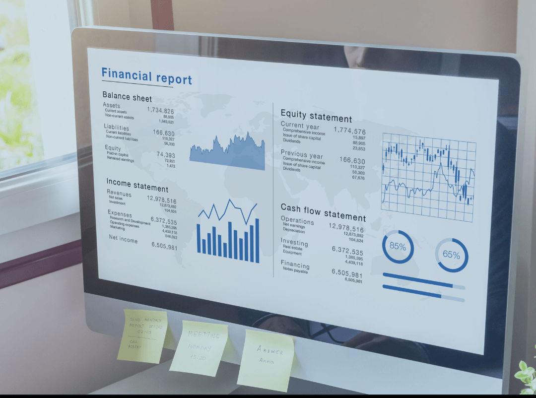 purpose of a balance sheet on computer