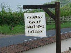 boarding cattery