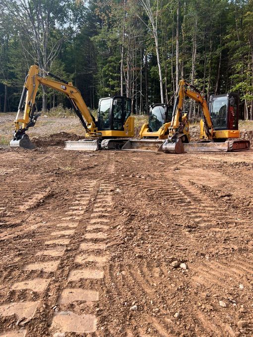 Three yellow excavators on muddy ground in front of a forest.