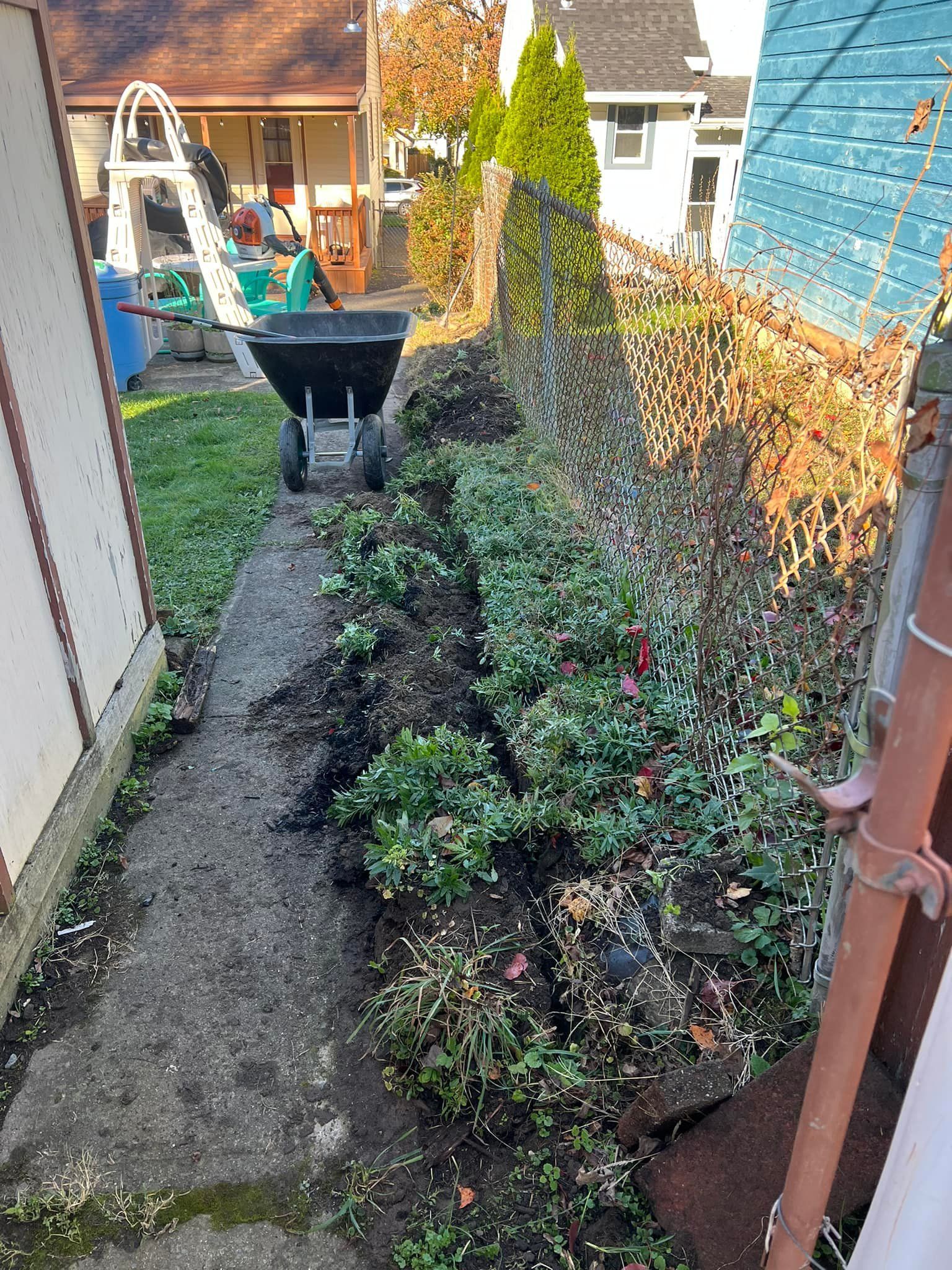 Garden bed with wheelbarrow on a concrete path, next to a shed and trees in a backyard.