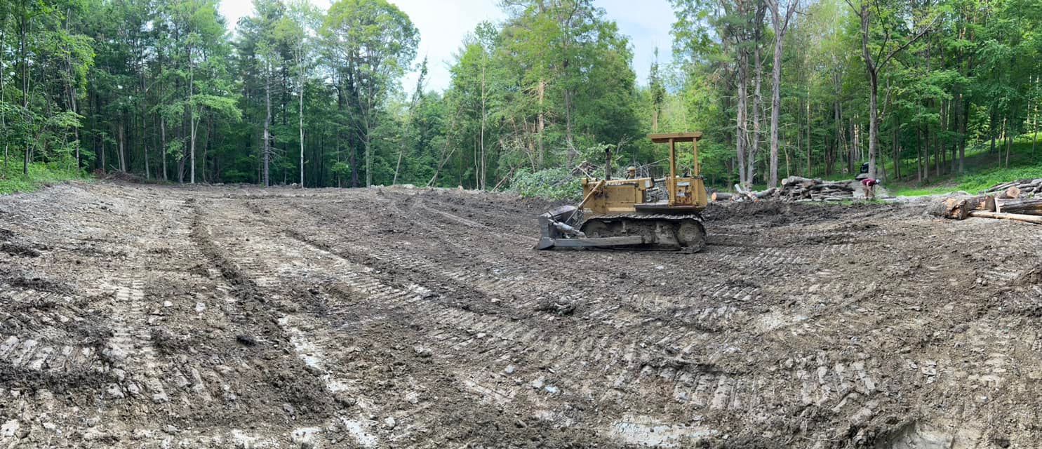 Black mulch bed with green bushes and an American flag.