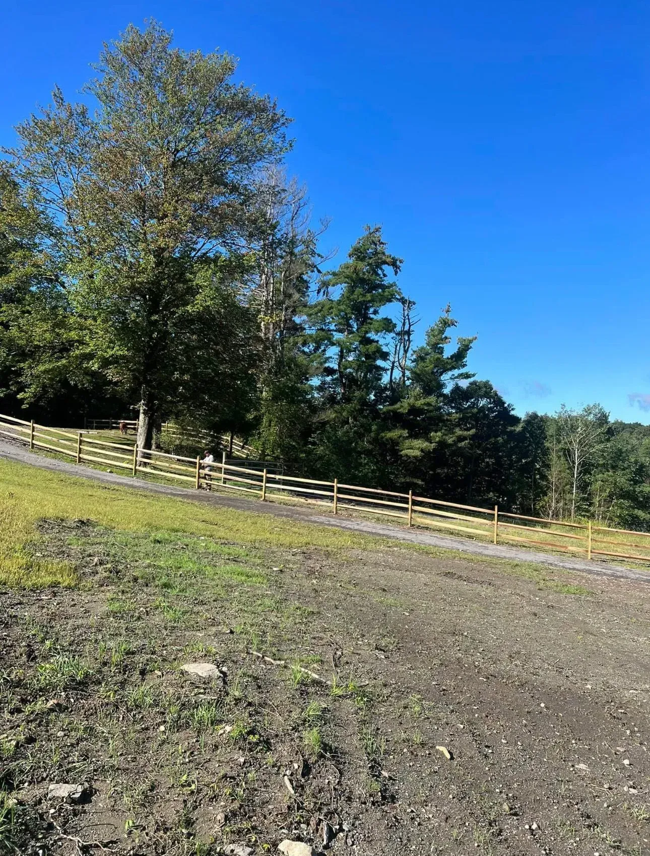 Dirt path leads to a wooden fence and trees under a clear, blue sky.
