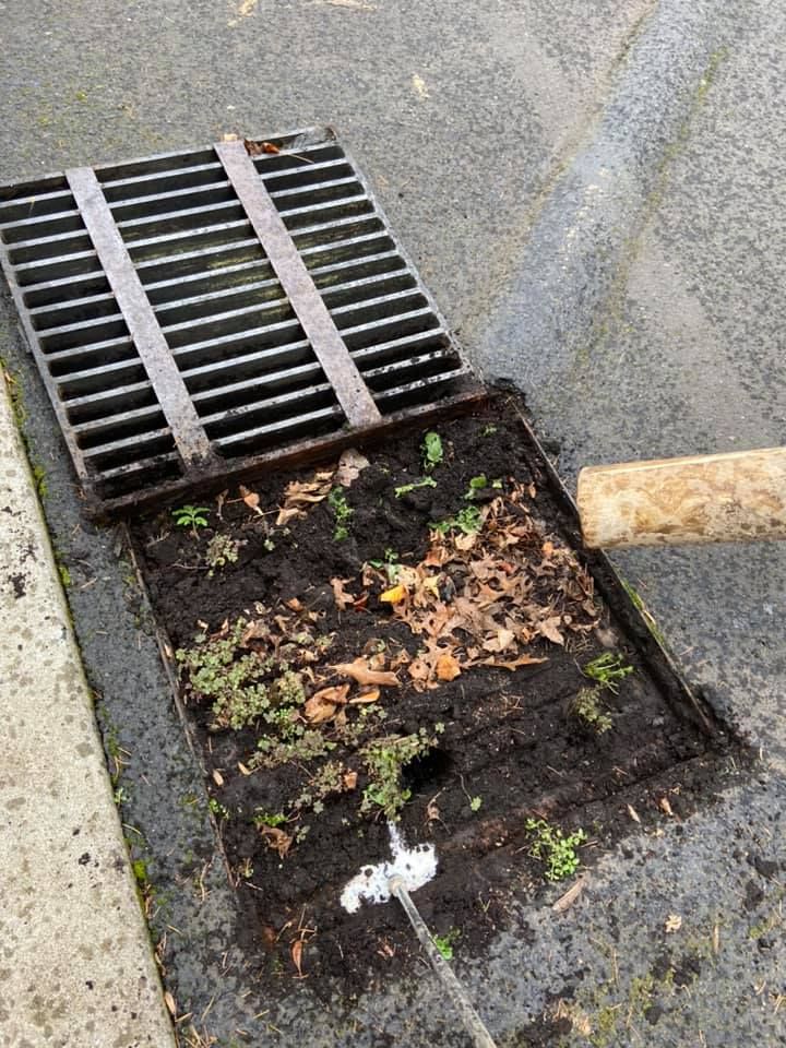 A yellow excavator is being used to dig a hole in the ground