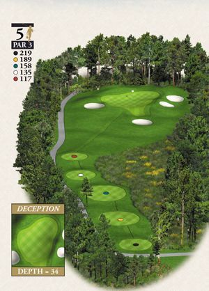 A picture of a golf course with the number 5 on it