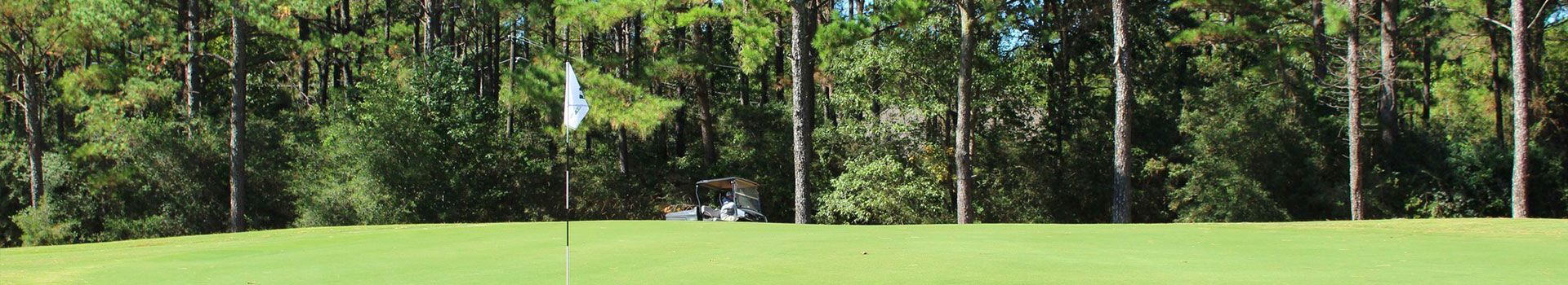 A golf course with trees in the background and a flag on the green.