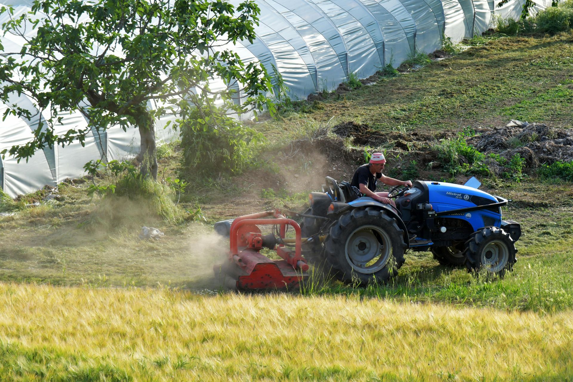 Man operating a tractor with an attached mower in a field, near a greenhouse.