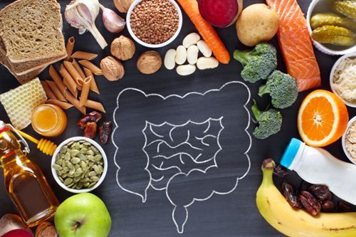 Foods arranged around a drawing of the intestines, promoting gut health.