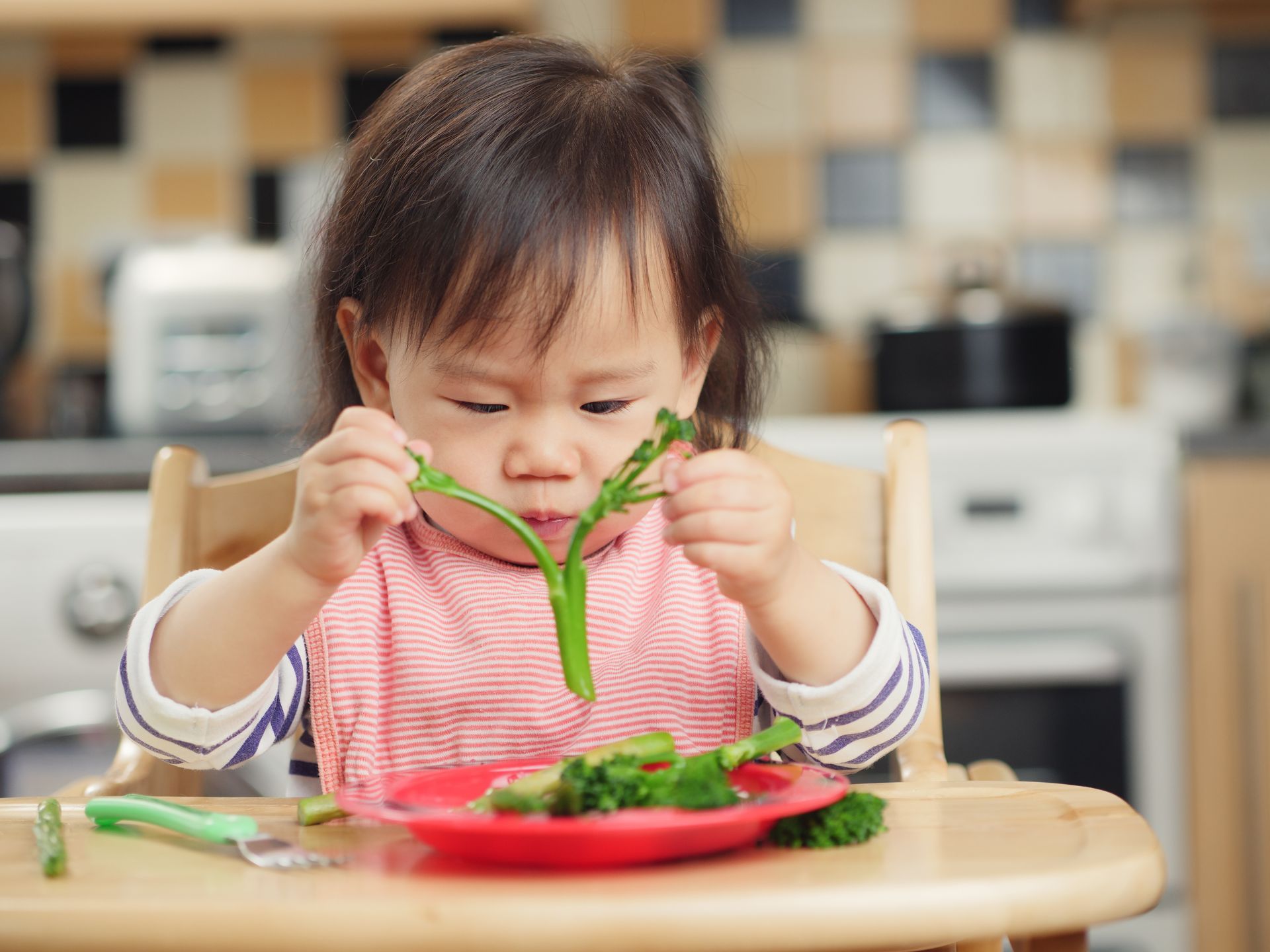 A child in a high chair holds a piece of broccoli over a red plate in a kitchen setting.