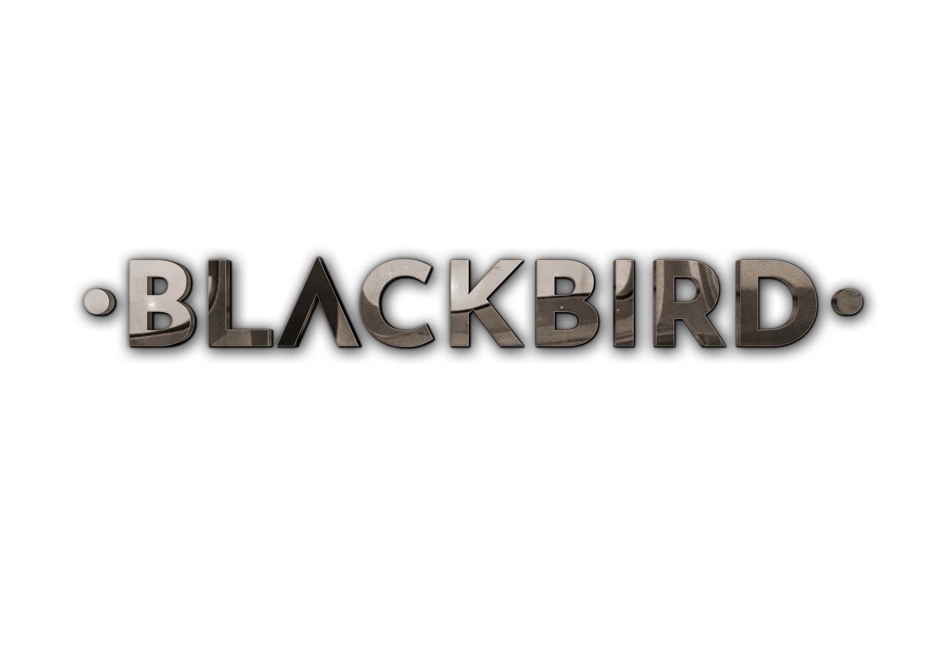 The blackbird logo is on a white background.