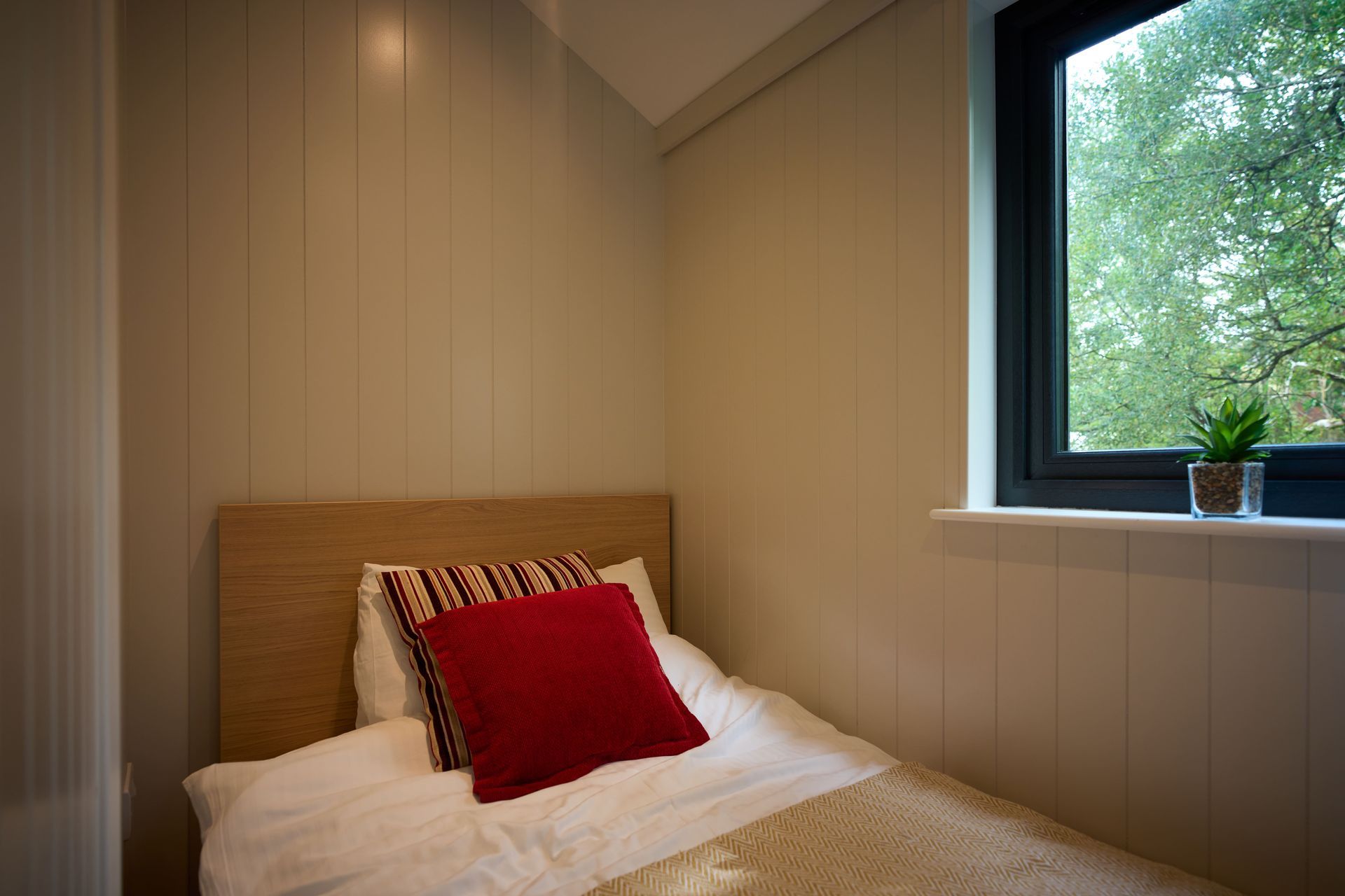 A small bedroom with a single bed and a window.