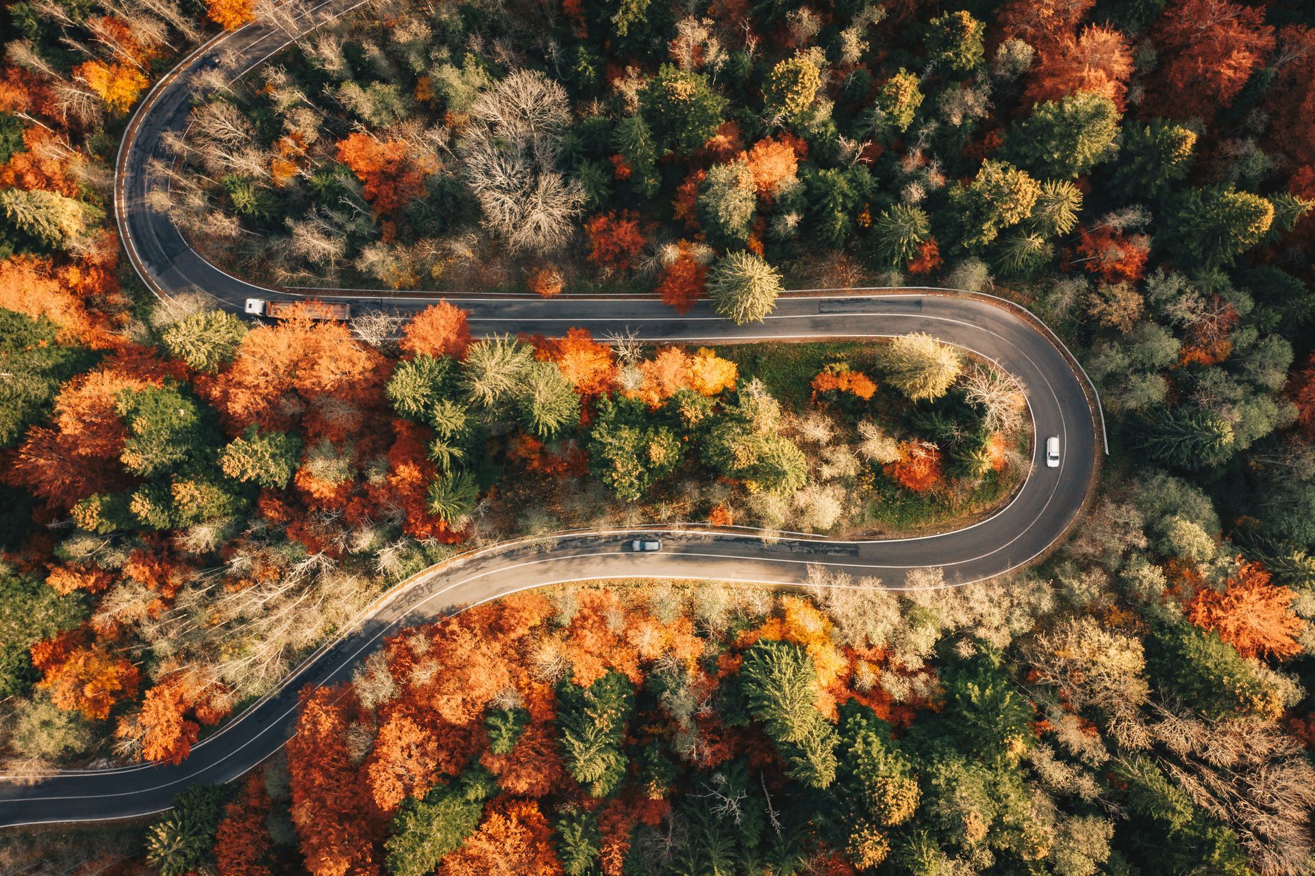 How to Stay Alert on Long Drives Through the Maritimes | JP's Garage