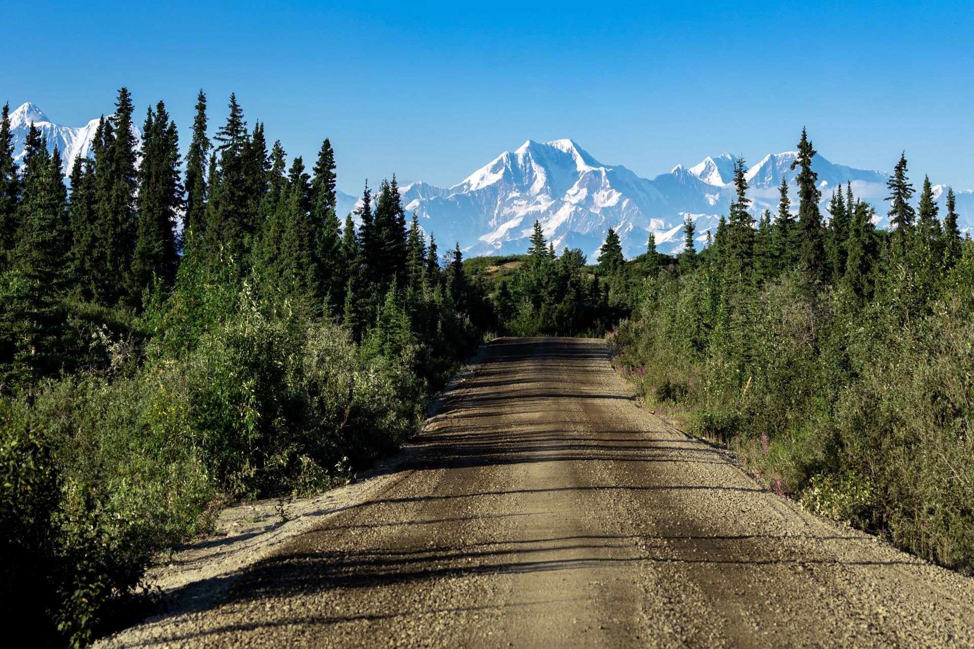 How Do I Know If My Brakes Are Ready for a Summer Road Trip? | JP's Garage