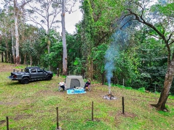 Pickup truck and camping setup in a forest clearing with a small campfire smoking nearby.