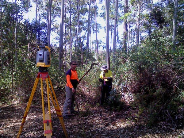 men surveying forest