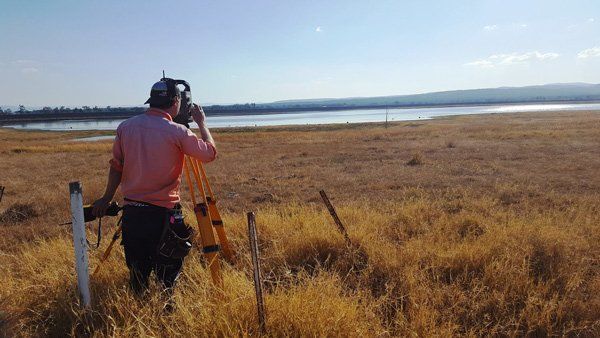 man surveying swamp