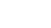 Empty white background.
