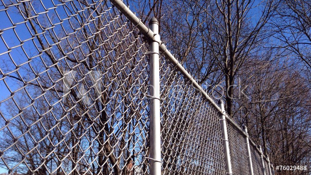 chain link fences