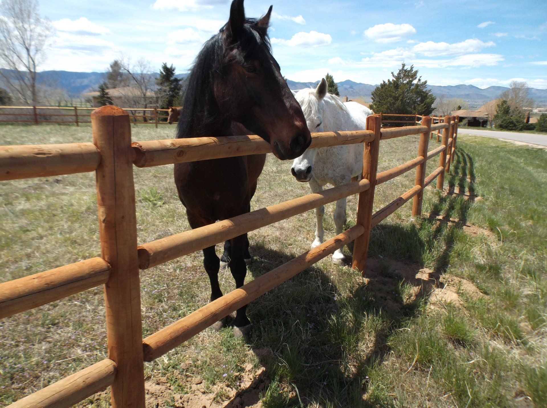farm and ranch fence