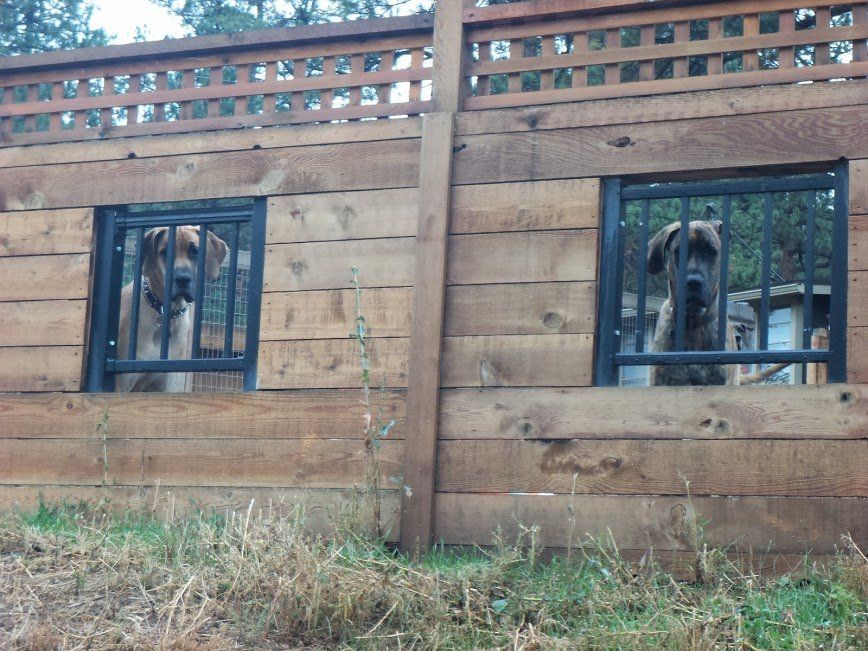 ornamental iron fence