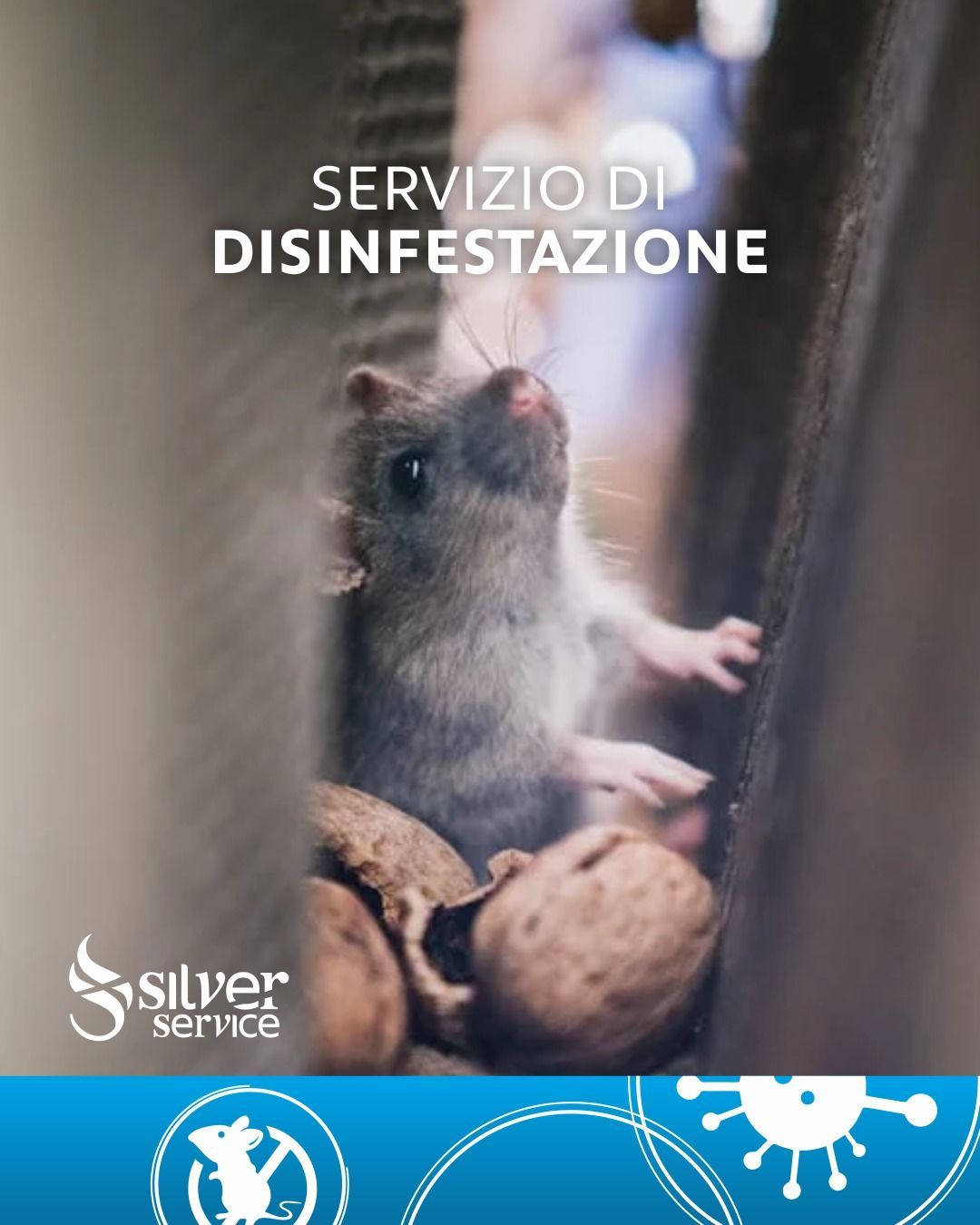 disinfestazione e deratizzazione