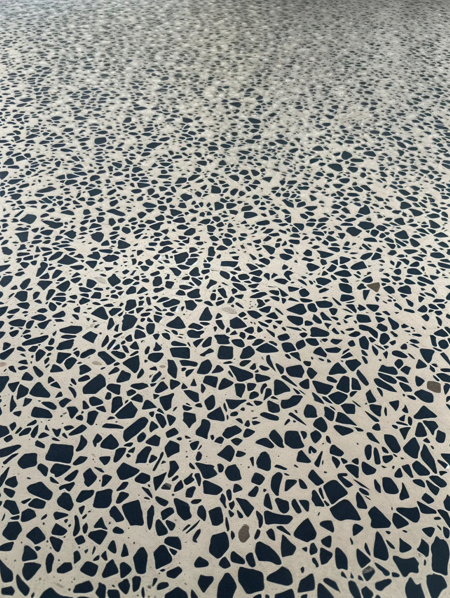 Polished Terrazzo Floor in Modern Lobby With Curved Staircase — Showcase Concrete & Polishing in Moore Park Beach, QLD