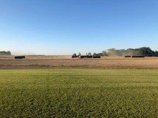 Maintaining a Good Sod | Grand Bay, AL | Driskell Turf Farm