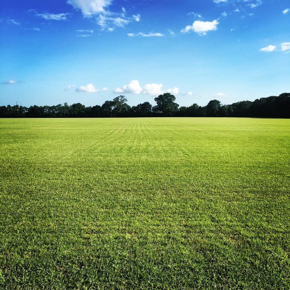 New Sod | Grand Bay, AL | Driskell Turf Farm