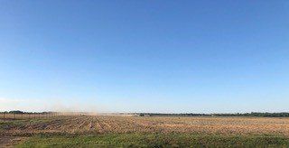 Dry Land | Grand Bay, AL | Driskell Turf Farm