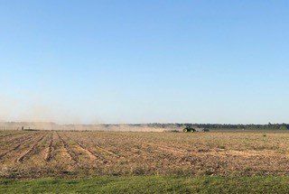 For Sod Replacement | Grand Bay, AL | Driskell Turf Farm
