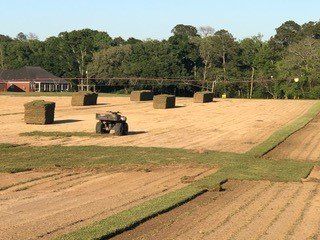 Preparing for New Sod | Grand Bay, AL | Driskell Turf Farm
