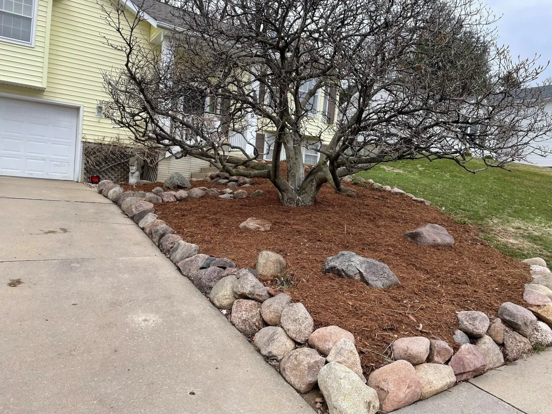A tree in a mulch bed, bordered by rocks, next to a driveway and a light-yellow house.