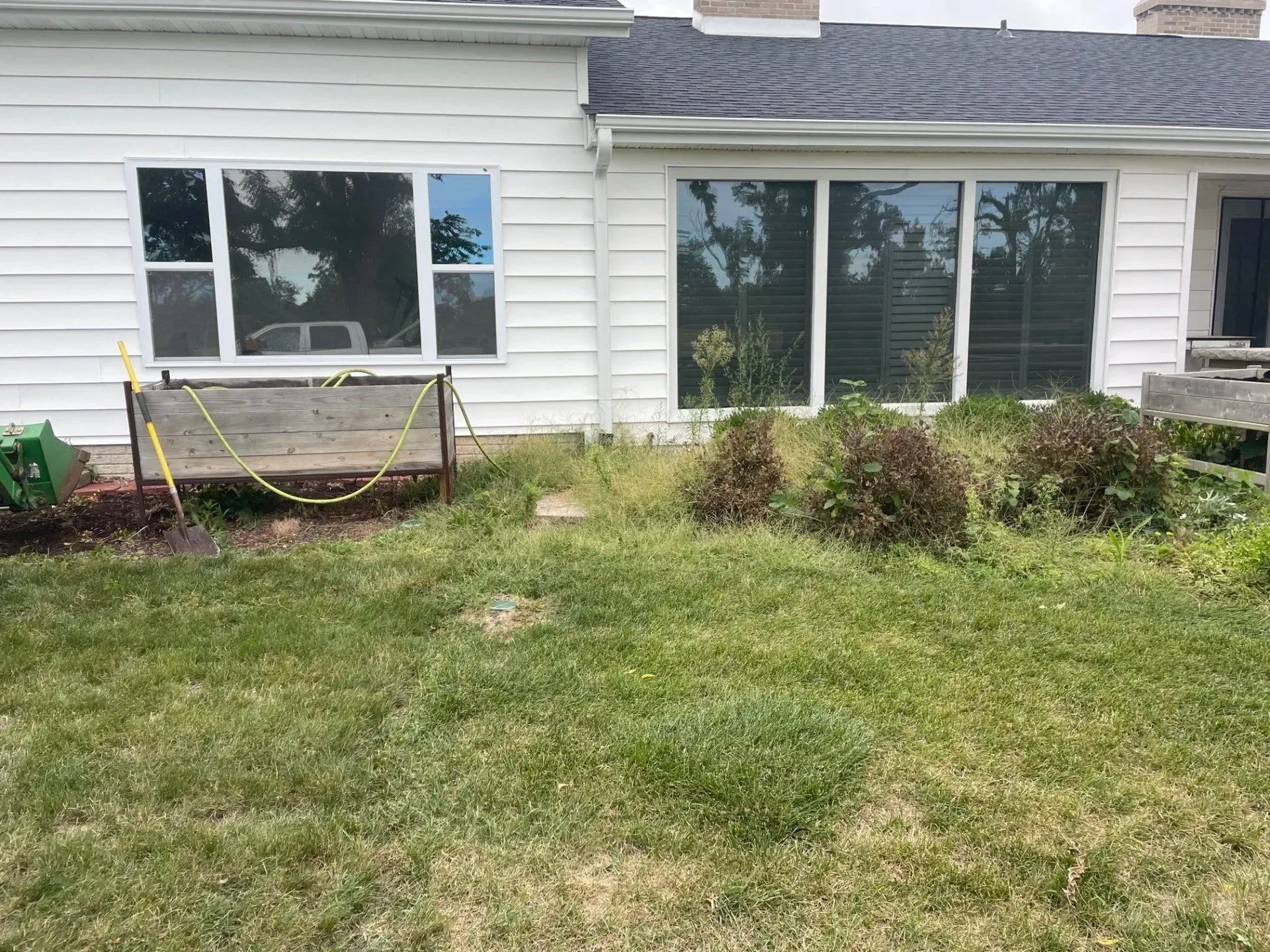 Back exterior of a white house with windows, a bench, and overgrown landscaping. Green grass in the foreground.