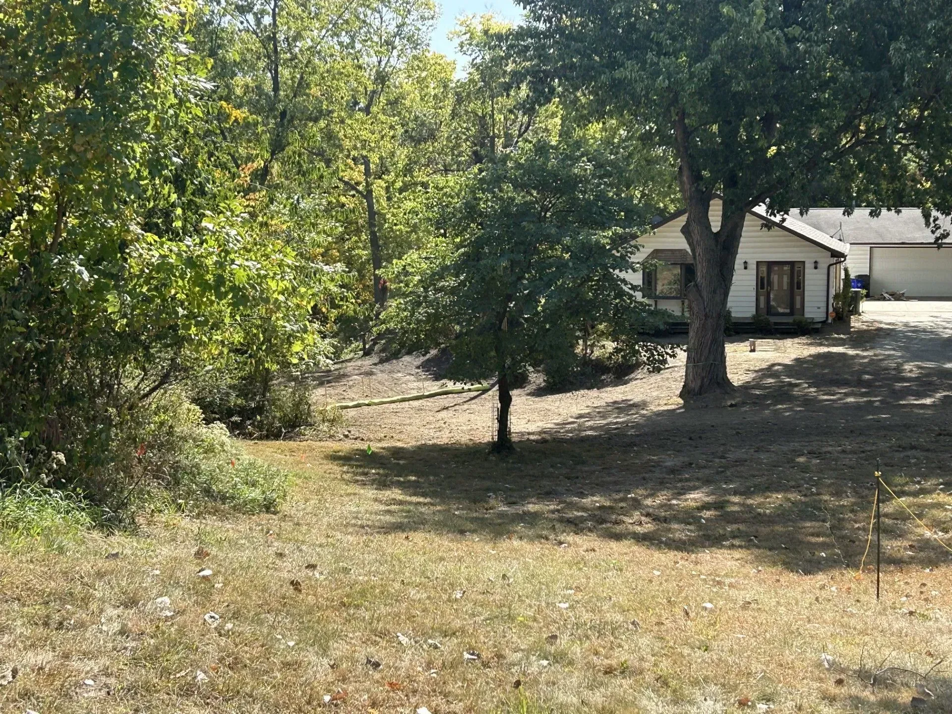 A house with a driveway is nestled in a grassy, tree-filled landscape on a sunny day.