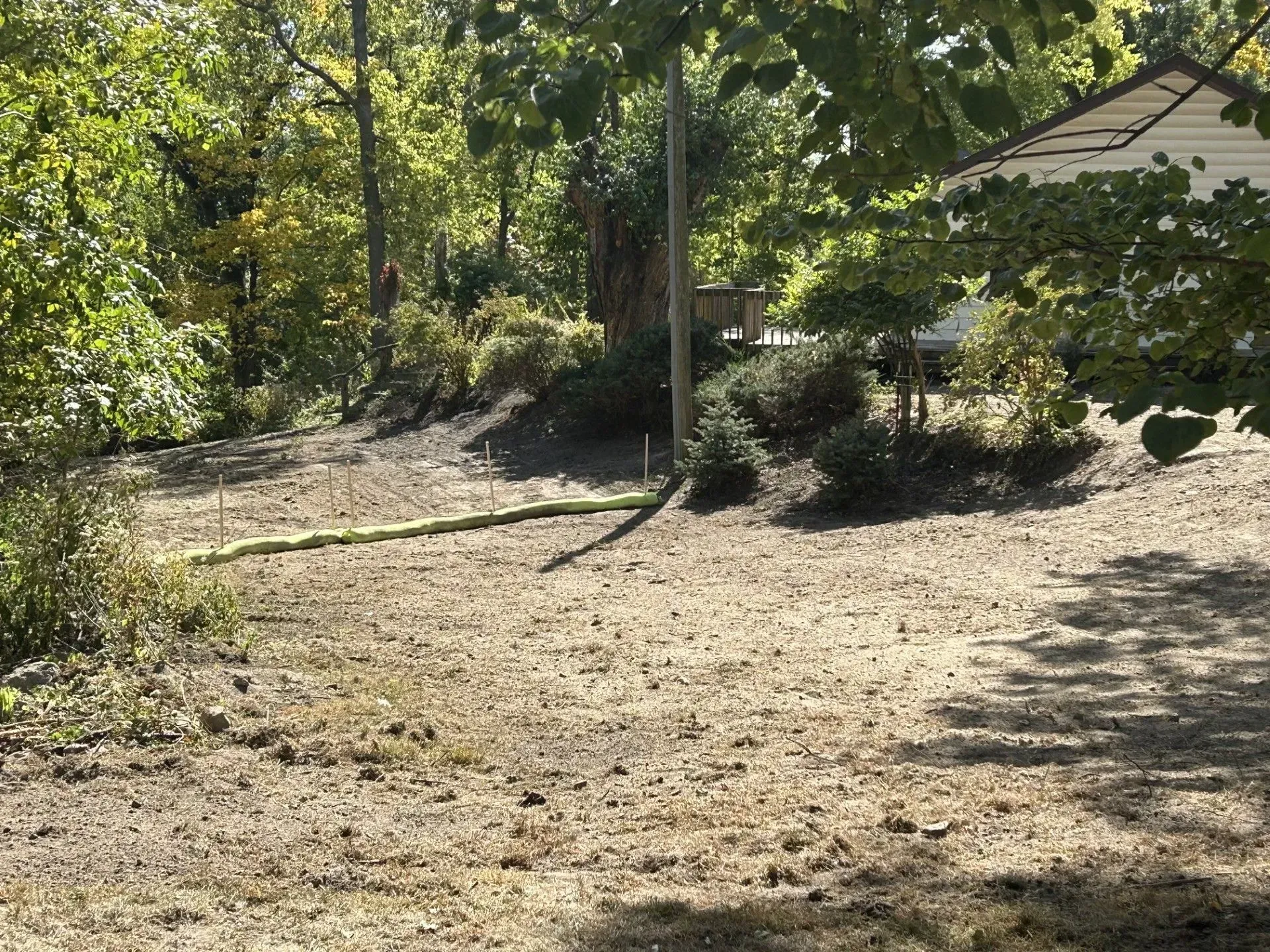 Brown yard with a small berm, a row of shrubs, and trees in the background.