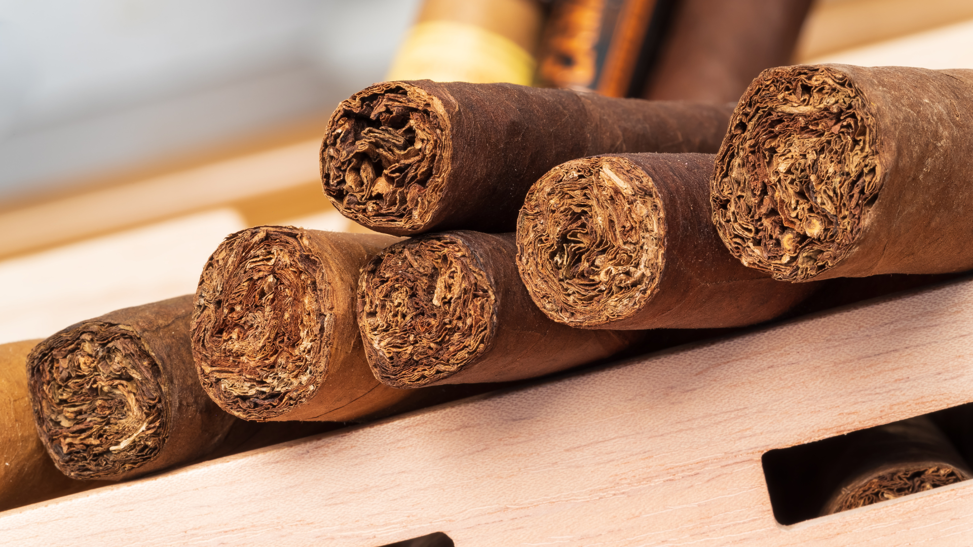 Close-up of brown rolled tobacco leaves stacked on a wooden surface