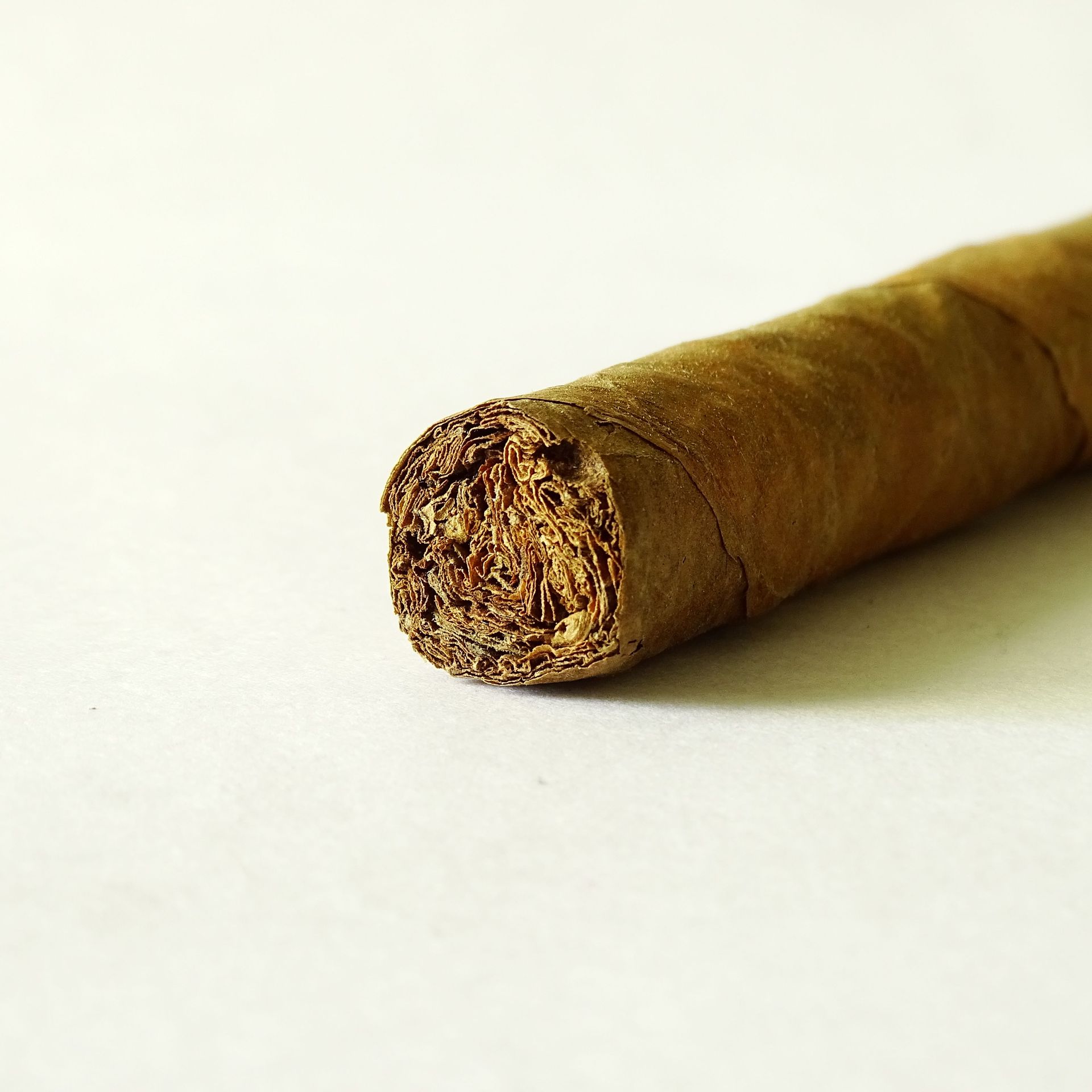 Brown cigar on a light background, shown in close-up with the cut end facing the viewer
